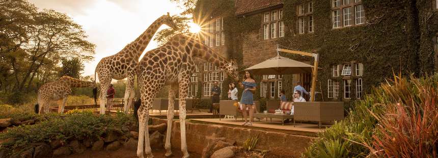 KENYA'DA SAFARİ - GİRAFFE MANOR HOTEL
