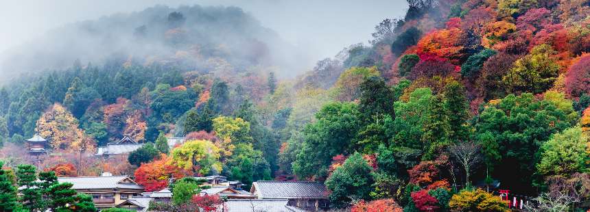 JAPONYA’NIN KALBİNE YOLCULUK: TARİH, KÜLTÜR VE DOĞA RÜYASI