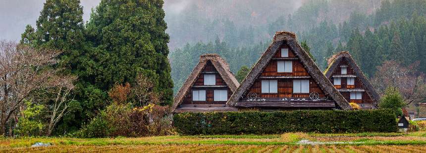 JAPONYA’NIN KALBİNE YOLCULUK: TARİH, KÜLTÜR VE DOĞA RÜYASI