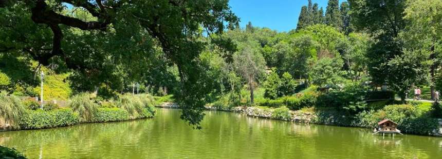 YILDIZ KORUSU (Parkı) FLORA VE YÜRÜYÜŞ GEZİSİ