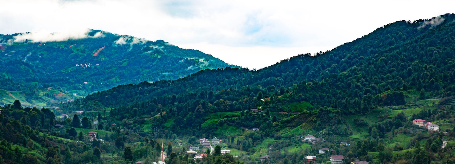 Oeconomica Doğu Karadeniz'in Yaylaları