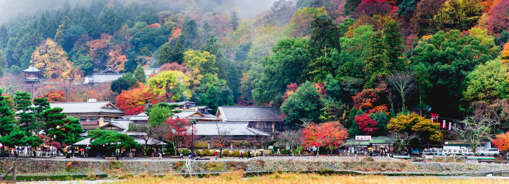 SONBAHAR RENKLERİYLE JAPONYA