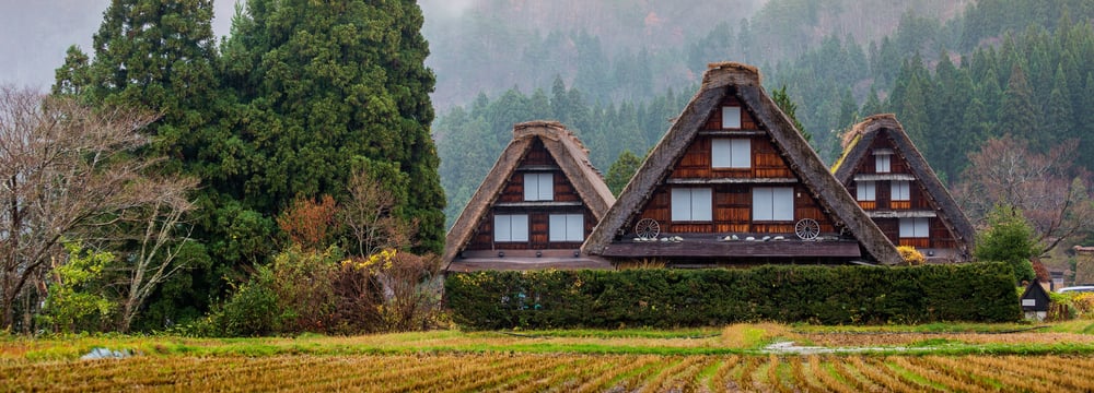 SONBAHAR RENKLERİYLE JAPONYA