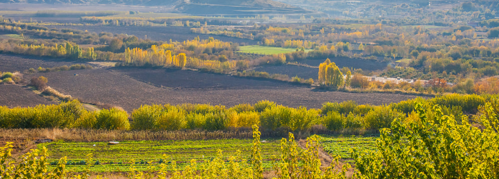 TURİSTİK DİYARBAKIR EKSPRESİ