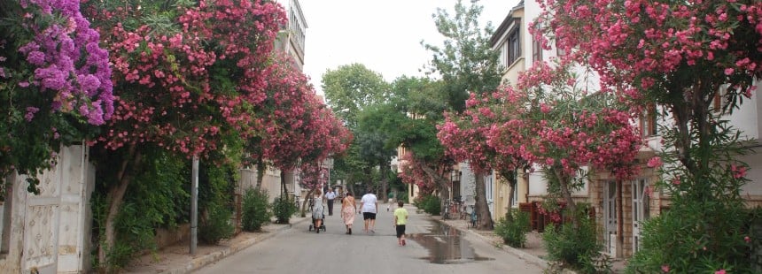 BÜYÜKADA FOTOĞRAF GEZİSİ