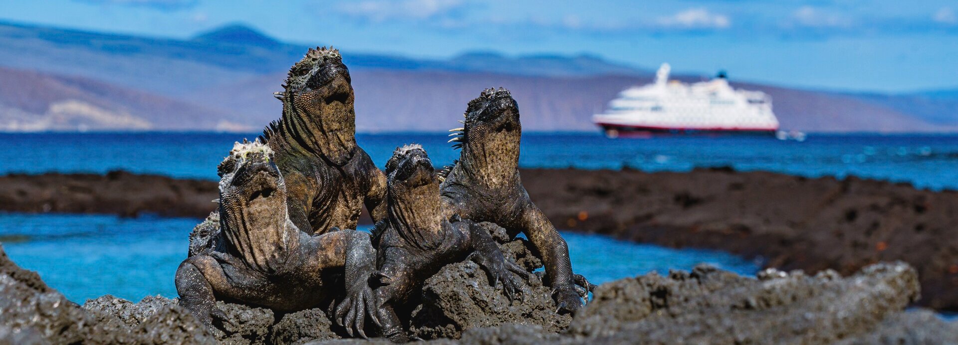 GALÁPAGOS ADALARI