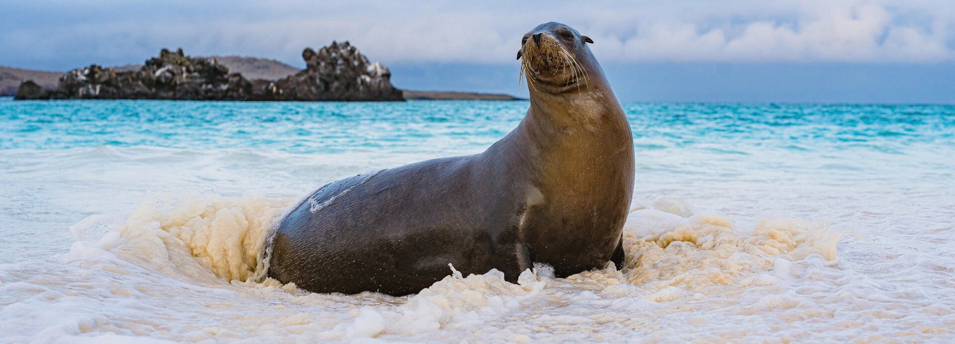 GALÁPAGOS ADALARI