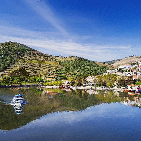 TEKNEYLE DOURO NEHRİ TURU