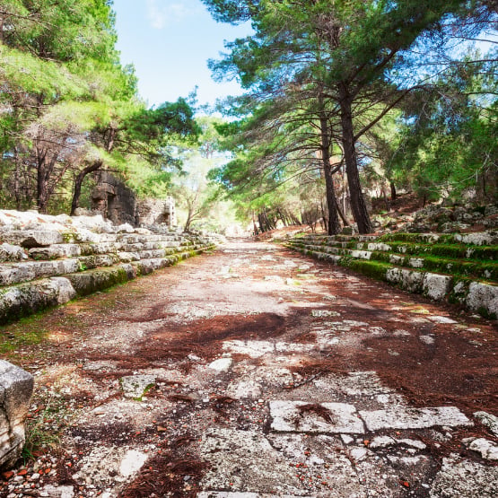 ORTA VE DOĞU LİKYA