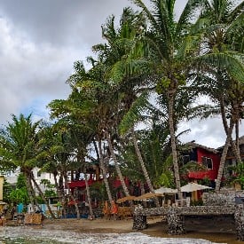 OECONOMICA SENEGAL ve GAMBİYA 