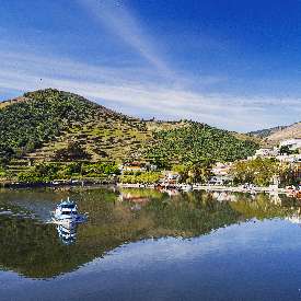 TEKNEYLE DOURO NEHRİ TURU