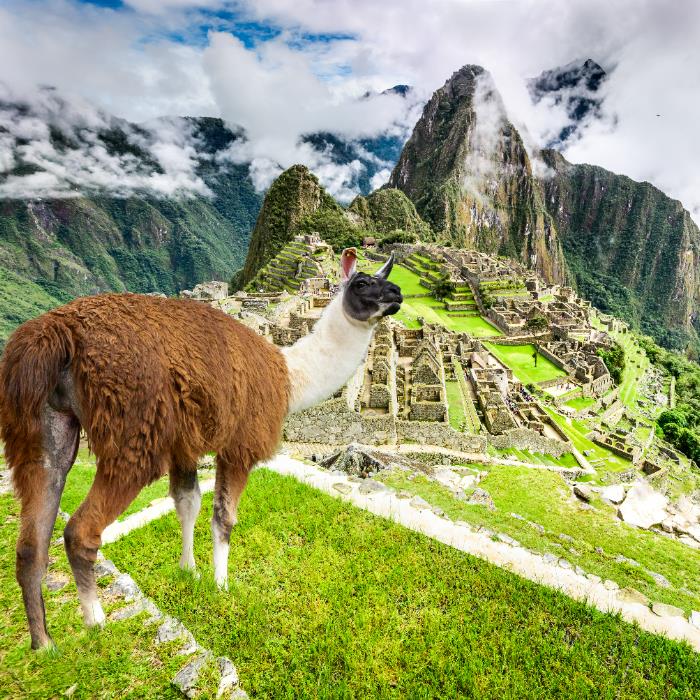 GÜNEY AMERİKA'NIN 5 İNCİSİ: KOLOMBİYA - BOLİVYA - PERU - BREZİLYA - ARJANTİN